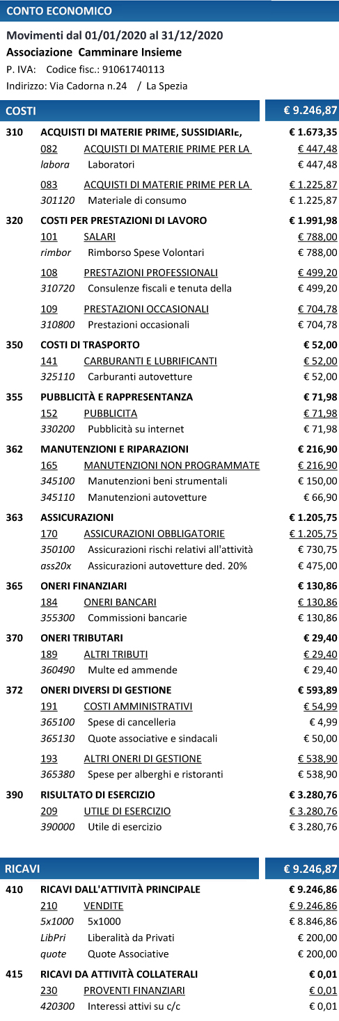 Conto Economico dell'Associazione Camminare Insieme